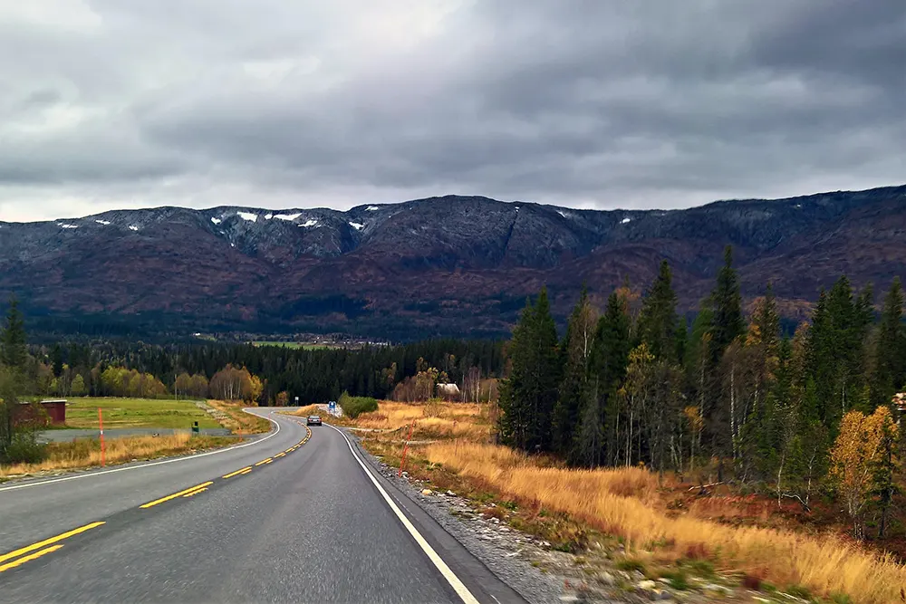 Electric vehicles are expected to replace motorcycles?